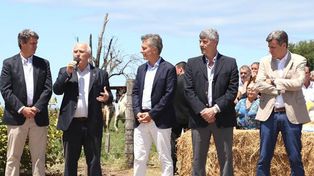 Lechería: los subsidios no llegan y Santa Fe elevará una propuesta a la Nación
