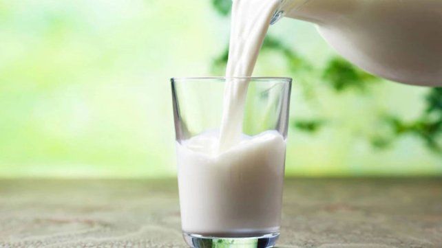 Desde el campo a la mesa: todos los beneficios de la leche
