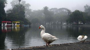 El tiempo en Rosario: viernes con neblina y algunas nubes desde la mañana