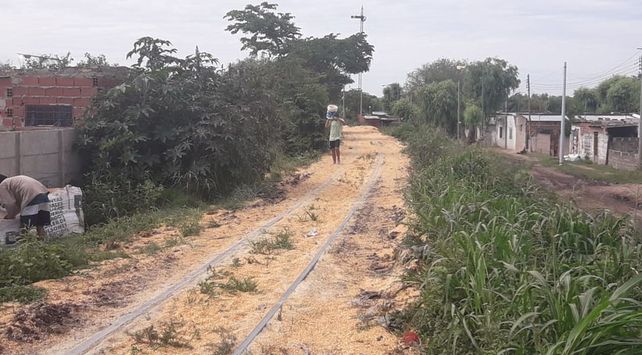 La carga de maíz sobre las vías