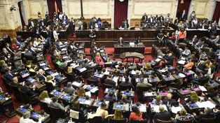 La Cámara de Diputados de la Nación.&nbsp;