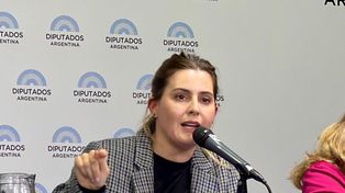 La diputada provincial socialista Lionella Cattalini.