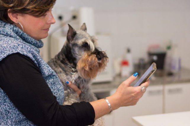 Televeterinarios online: una aplicación de atención virtual 24 horas para mascotas