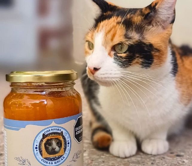 Su mascota, Cheshire, inspiró el logo de la marca.