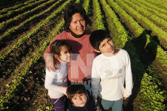 Producir y comercializar verduras, un desafío familiar