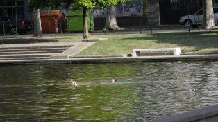 El tiempo en Rosario: el año termina con algo de sol y mucho calor