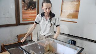 El impacto del cambio climático en la salud de los santafesinos