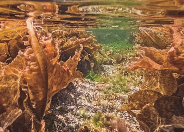 La naturaleza patagónica es uno de los atractivos que atrae a turistas año a año.