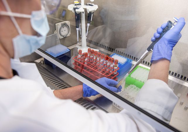 La vacuna de Oxford contra el coronavirus reveló una robusta respuesta inmune entre las personas mayores.&nbsp;