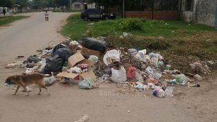 San Lorenzo sigue con la lucha por erradicar los minibasurales