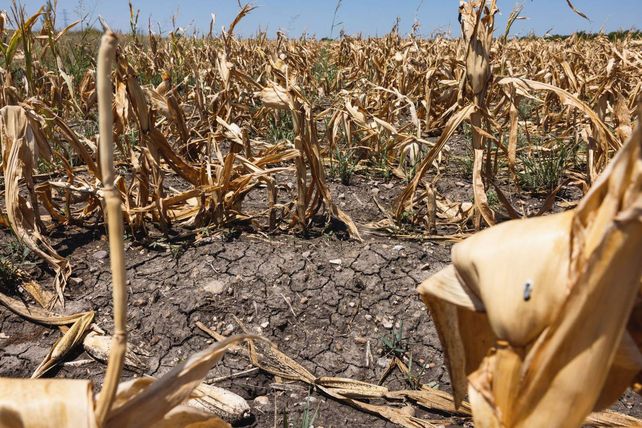 La llegada de El Niño al sur de la provincia es inminente
