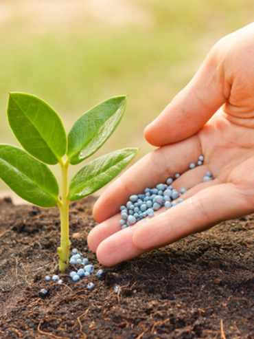 Nutrición fraccionada: sustentabilidad y rinde