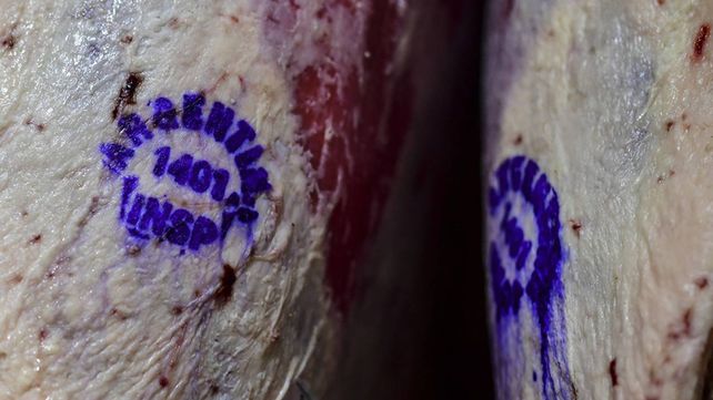 Nuevo esquema de exportaciones de carne y un plan ganadero