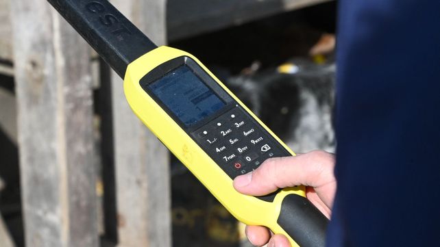 Ganadería: Argentina pondrá en marcha un sistema nacional de trazabilidad electrónica individual