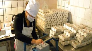 Came celebró que ahora las pyme puedan financiarse, aunque sean deudoras