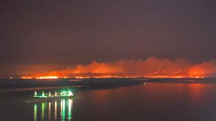 Volvió el humo en las islas de Entre Ríos y estallaron en Rosario