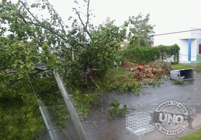 Terrible temporal de lluvia y viento generó graves destrozos en Paraná