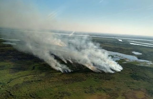 Suman a 2.600 hectáreas del Delta del Paraná como áreas protegidas