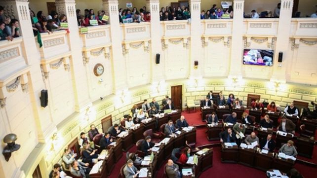 Cámara baja. Las mujeres se hicieron sentir en las barras del recinto.
