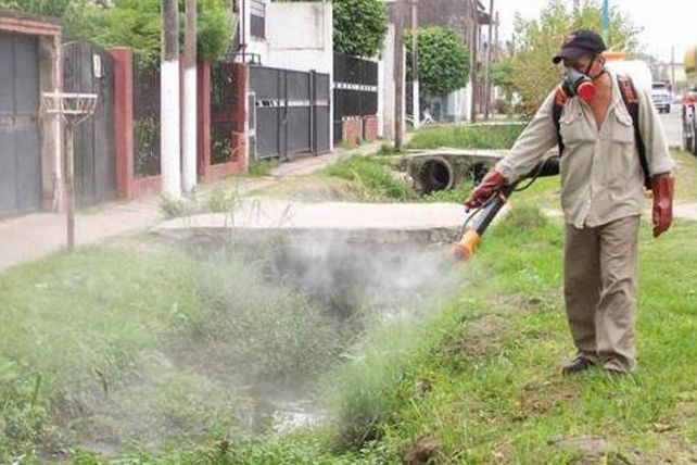 Continúan las tareas de fumigación en toda la ciudad