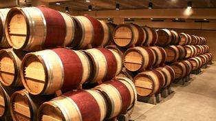 Cuyo recibe un gran congreso del vino
