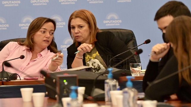 Debate. La diputada Cecilia Moreau (izquierda) preside la comisión de Legislación General de Diputados.
