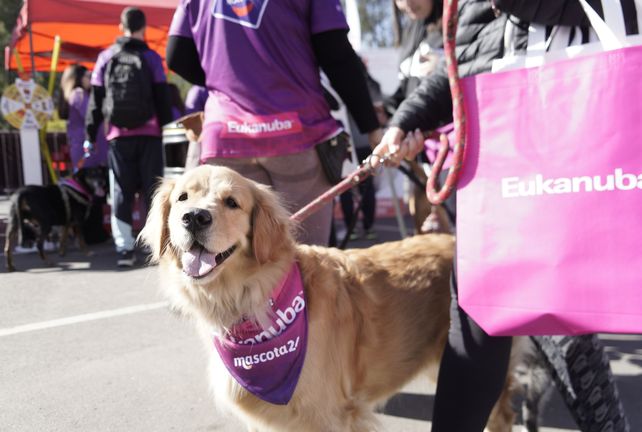 El 1er Mascotón La Capital se realizó con una caminata recreativa y familiar pet-friendly a finales de agosto.
