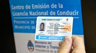 Cómo será la nueva licencia de conducir