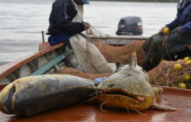 Los pescadores artesanales esperan respuestas.&nbsp;