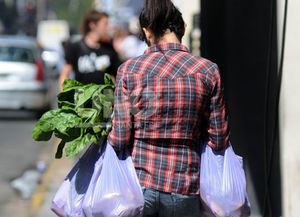 Del campo a la góndola los alimentos cuestan 5,53 veces más caros