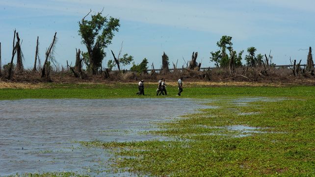 La Isla de los Mástiles se entregó en comodato por partes iguales a Granadero Baigorria y a Capitán Bermúdez en 1997.