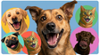 Companion crea un nuevo sistema para cuidar la salud de las mascotas en Argentina
