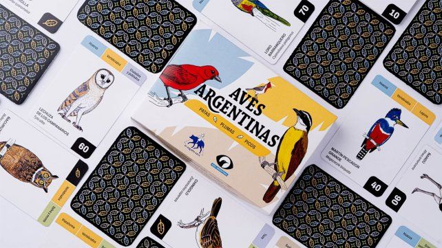 El Equipo Azul, primera editorial sobre juegos de mesa en Entre Ríos