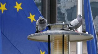 Nobel de la Paz para la UE por más de seis décadas sin guerras