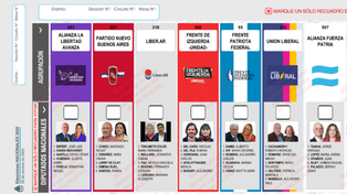 No se reimprimirán las boletas en Buenos Aires y saldrá la cara de José Luis Espert en el casillero de La Libertad Avanza en las próximas elecciones, a pesar de haber renunciado a la candidatura.
