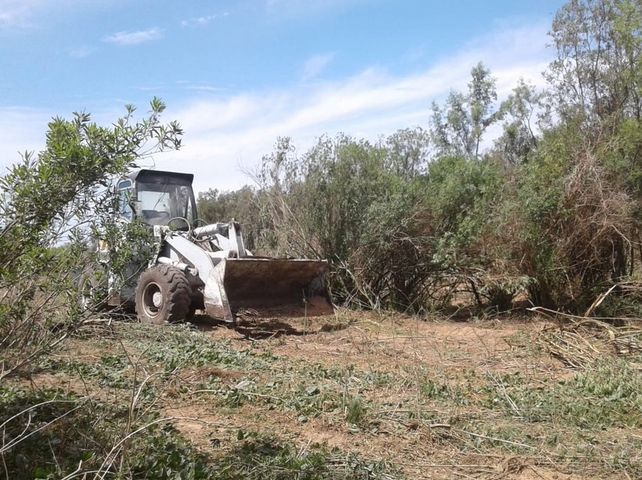 La denuncia de la entidad ambiental surgió en medio de la crisis por los incendios en las islas.