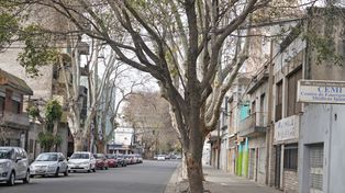 Tierra de nadie. Gaboto, entre San Martín y Sarmiento, copada por una gavilla.&nbsp; &nbsp;