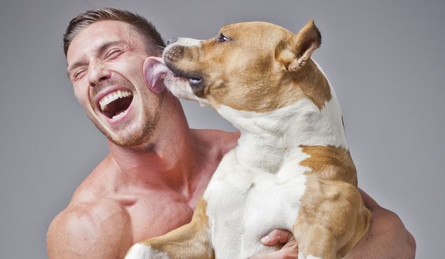 Científicos lograron situar el origen de la amistad entre perros y humanos