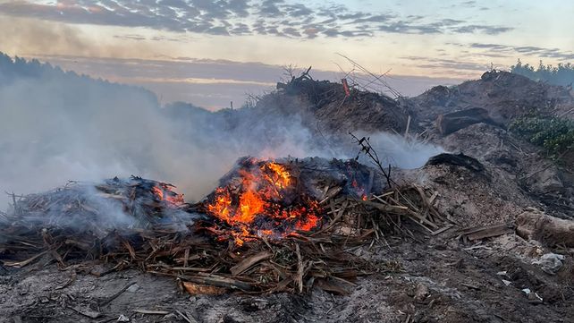 La Secretaría de Ambiente notificó e intimó a las autoridades municipales tras constatar focos ígneos y el acopio ilegal de envases de fitosanitarios