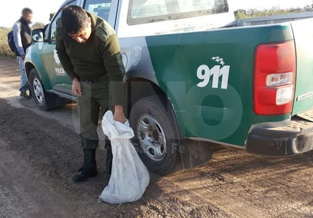 Procedimientos de la Guardia Rural Los Pumas.