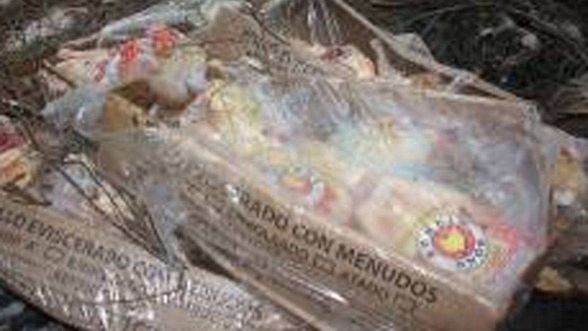 Por diferentes irregularidades, incautaron cajones de pollo en Paraná