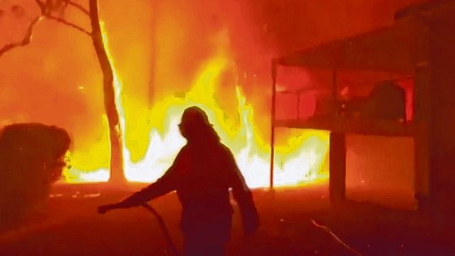 Sidney. El sábado la temperatura superó los 46 grados