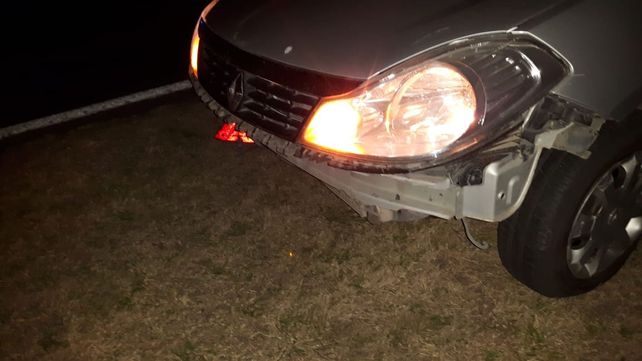 Susto en la ruta. El auto chocó con las ramas el troncho