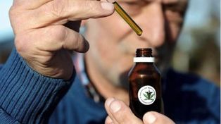 Santa Fe, a un paso de producir cannabis medicinal para la salud pública