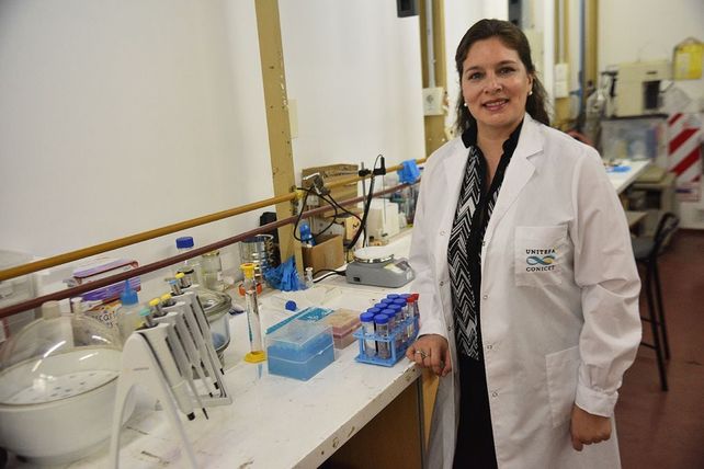Dos investigadoras del Conicet obtuvieron el Premio LOreal-Unesco