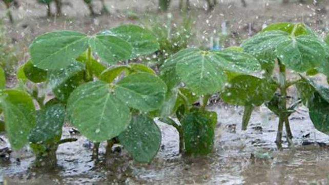 Las lluvias de la semana cortaron varios meses de escasez en materia hídrica. ¿Llegaron a tiempo?