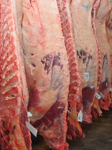 Volumen récord de exportaciones de carne, pero con caída de precios