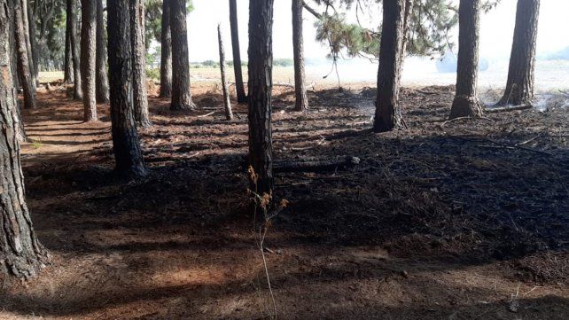 Bomberos Voluntarios de Ceibas acudieron el sábado y el domingo a apagar incendios en la estancia La Pellegrina. El lugar reportó al menos 15 en la temporada&nbsp;