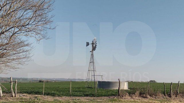 Este domingo las temperaturas promedio se ubicarán entre los 11 y los 26 grados. La humedad marca 97%