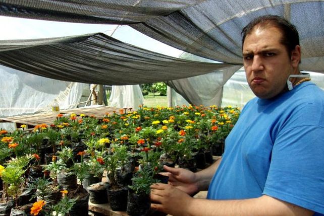 Serio. Entre las flores con la responsabilidad y el compromiso puestos en la tarea.